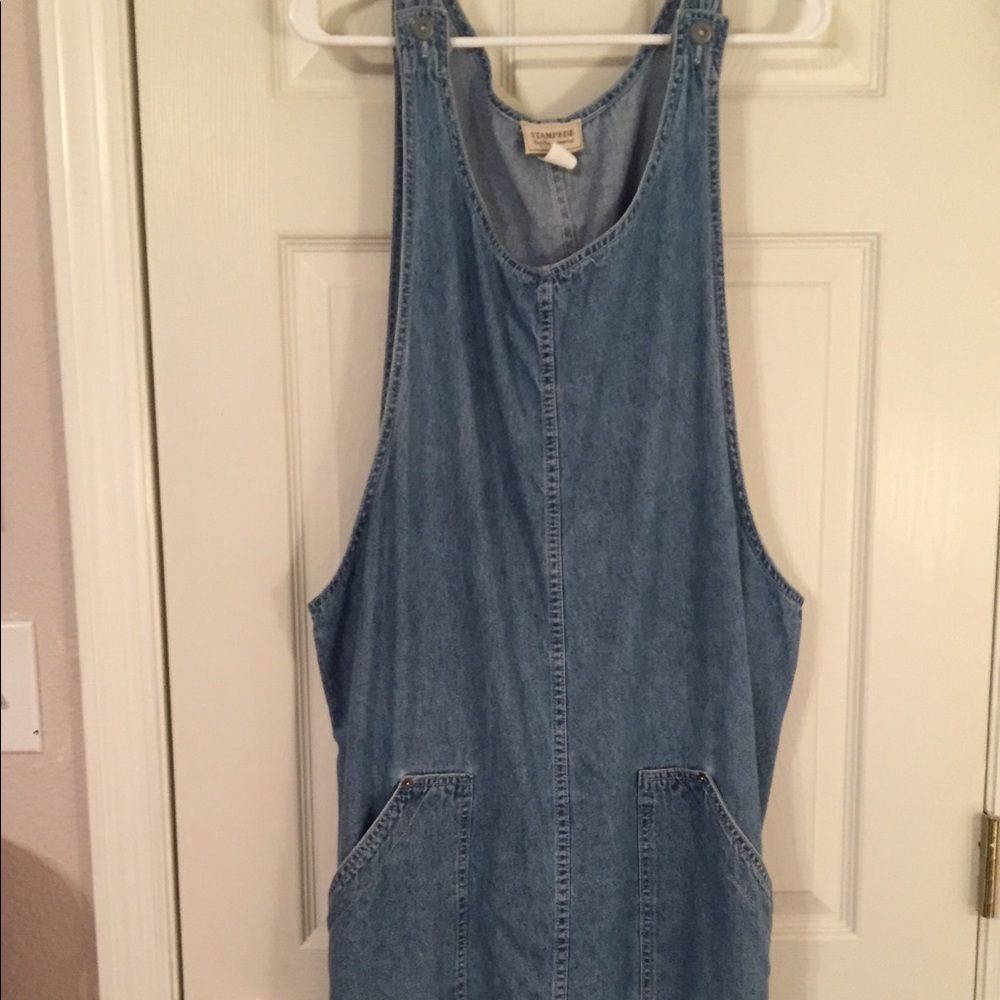 Stampede denim short dress 2X